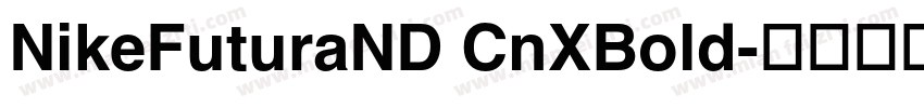 NikeFuturaND CnXBold字体转换